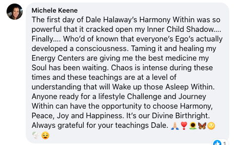 michele-keene-harmony-within-day-1-FB-testimonial